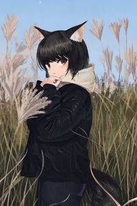 Preview wallpaper neko, ears, jacket, field, anime