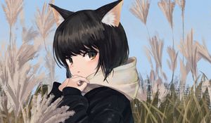 Preview wallpaper neko, ears, jacket, field, anime