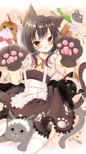 Preview wallpaper neko, girl, ears, cats, cute, anime