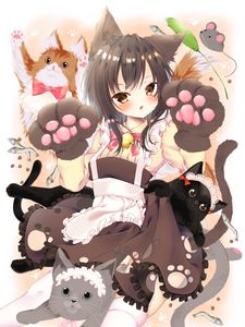 Preview wallpaper neko, girl, ears, cats, cute, anime