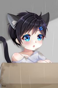 Preview wallpaper neko, kitten, child, box, anime, art