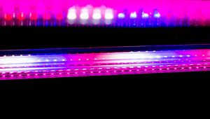 Preview wallpaper neon, backlight, blur, dark