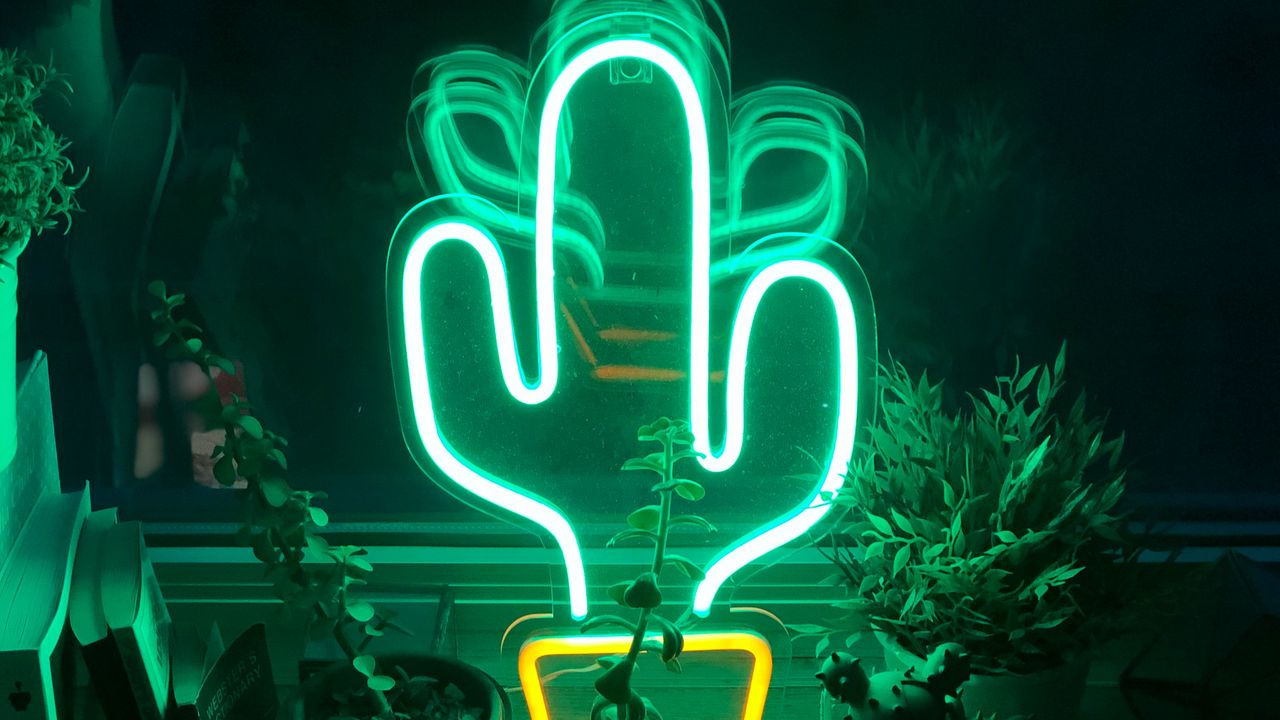 Wallpaper neon, cactus, flowers, light, green