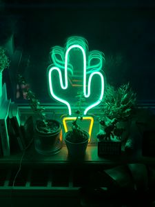 Preview wallpaper neon, cactus, flowers, light, green