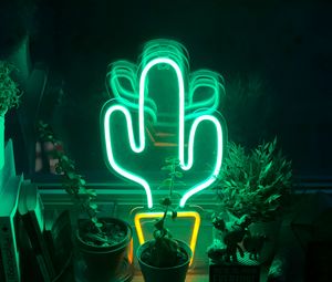 Preview wallpaper neon, cactus, flowers, light, green