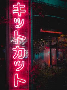 Preview wallpaper neon, hieroglyphs, inscription, words