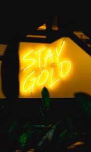 Preview wallpaper neon, inscription, wall, leaves, backlight