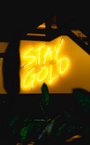 Preview wallpaper neon, inscription, wall, leaves, backlight
