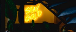 Preview wallpaper neon, inscription, wall, leaves, backlight