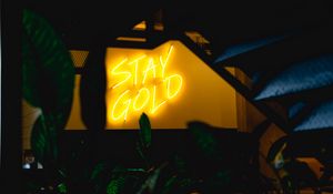 Preview wallpaper neon, inscription, wall, leaves, backlight