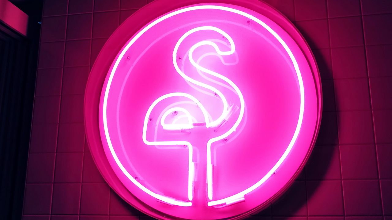 Wallpaper neon, signboard, flamingo, pink, glow, electricity