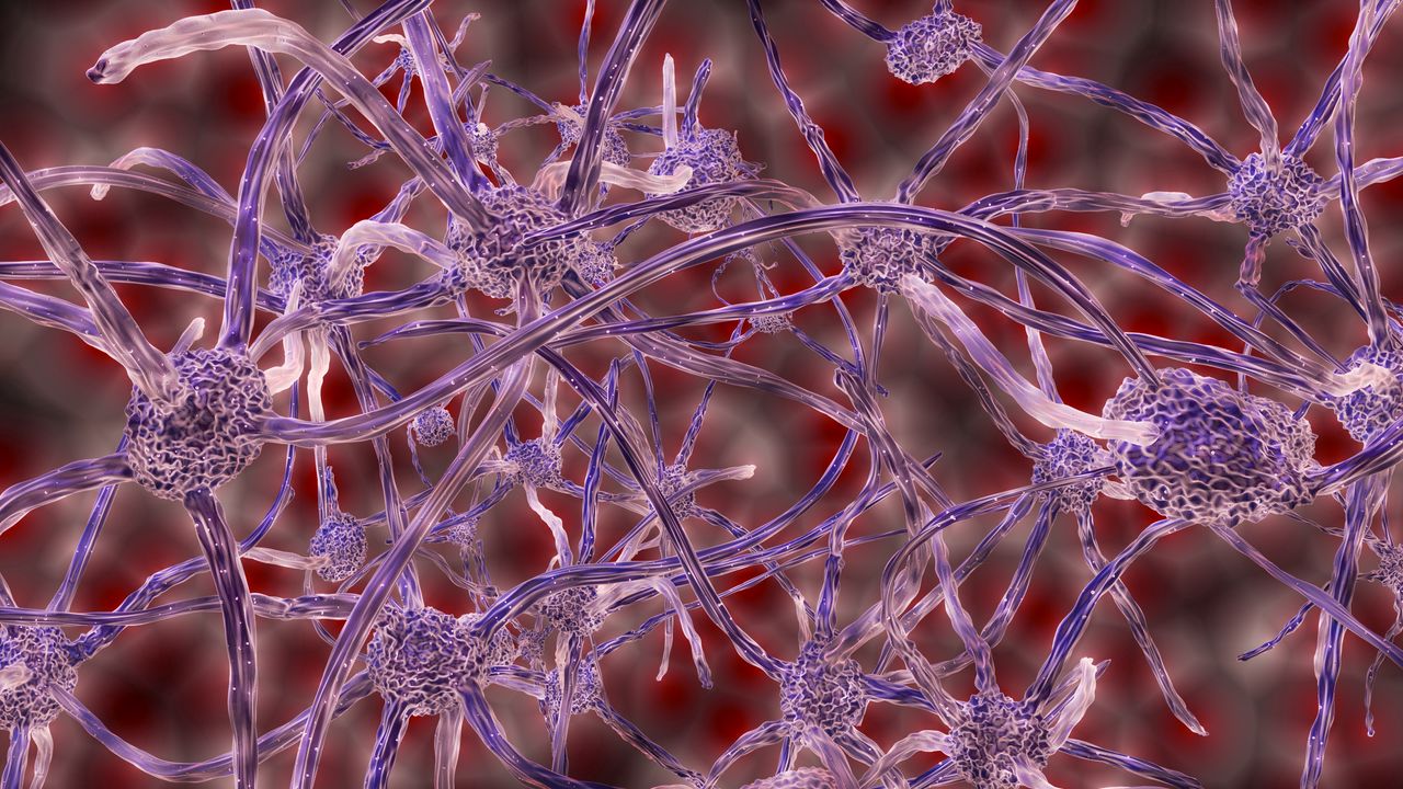 Wallpaper nerve cells, plexus, 3d
