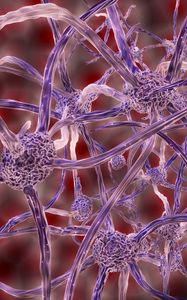 Preview wallpaper nerve cells, plexus, 3d