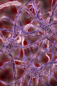 Preview wallpaper nerve cells, plexus, 3d