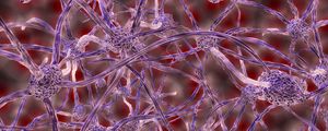 Preview wallpaper nerve cells, plexus, 3d