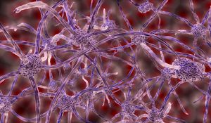 Preview wallpaper nerve cells, plexus, 3d