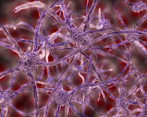 Preview wallpaper nerve cells, plexus, 3d
