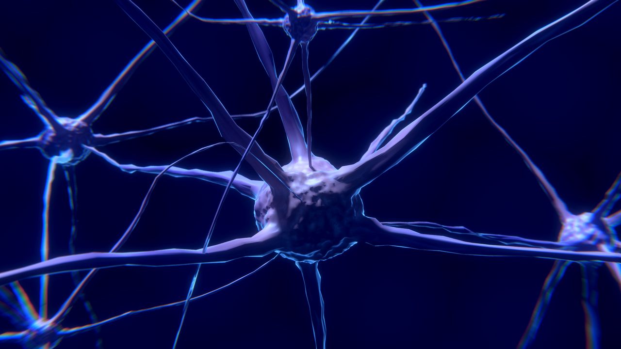 Wallpaper nerve, neuron, synapse