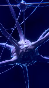 Preview wallpaper nerve, neuron, synapse