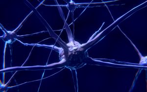 Preview wallpaper nerve, neuron, synapse