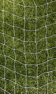 Preview wallpaper net, grass, lawn, texture