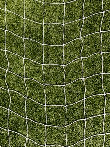 Preview wallpaper net, grass, lawn, texture