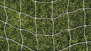 Preview wallpaper net, grass, lawn, texture