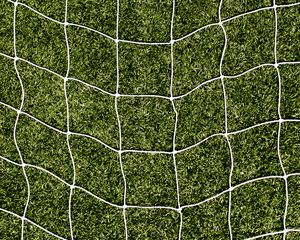 Preview wallpaper net, grass, lawn, texture