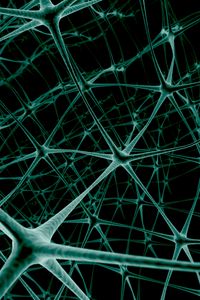 Preview wallpaper net, neuron, connection
