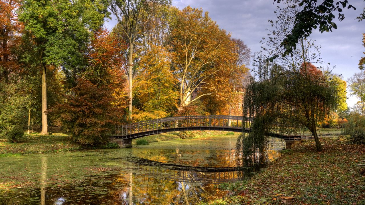 Wallpaper netherlands, bridge, river, autumn, trees, leaves