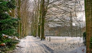 Preview wallpaper netherlands, road, trees, avenue, snow