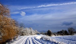 Preview wallpaper netherlands, road, trees, sky, clouds, snow, clearly