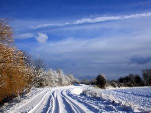 Preview wallpaper netherlands, road, trees, sky, clouds, snow, clearly