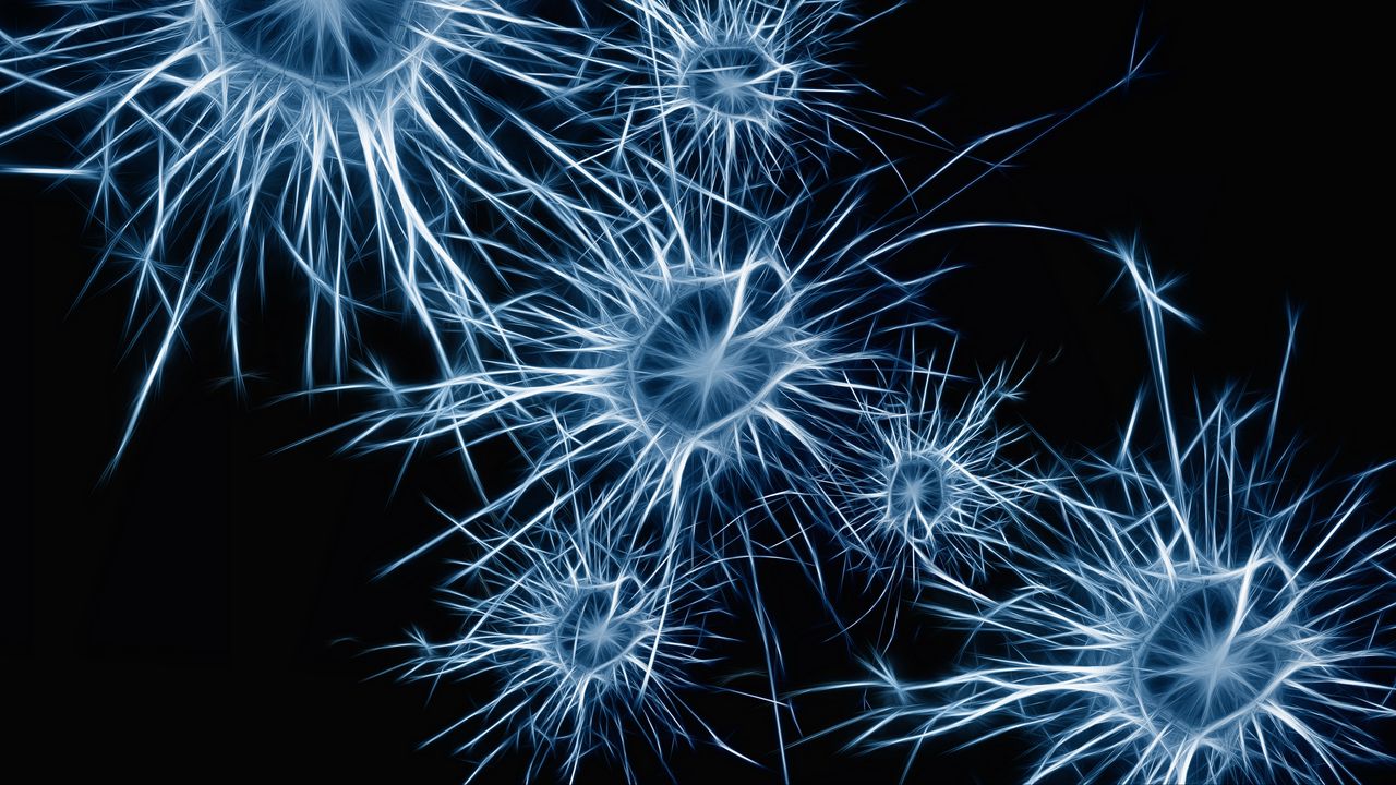 Wallpaper neurons, cell, structure