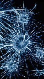 Preview wallpaper neurons, cell, structure