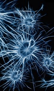 Preview wallpaper neurons, cell, structure