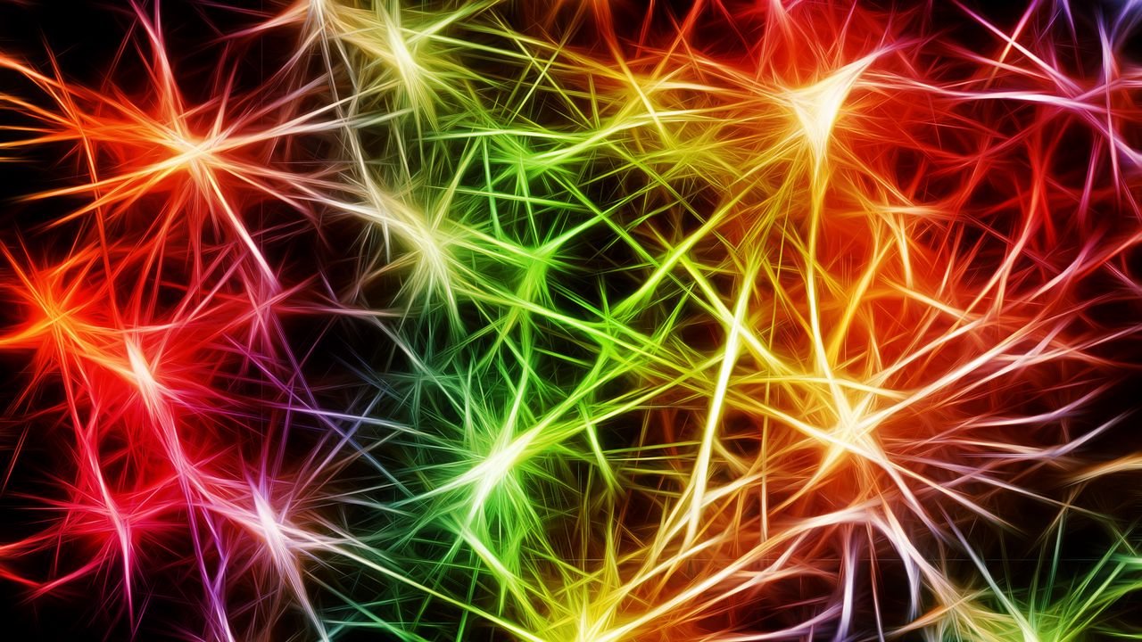 Wallpaper neurons, pulse, art, abstraction, colorful