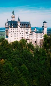Preview wallpaper neuschwanstein, castle, trees, forest, architecture