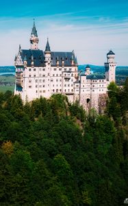Preview wallpaper neuschwanstein, castle, trees, forest, architecture