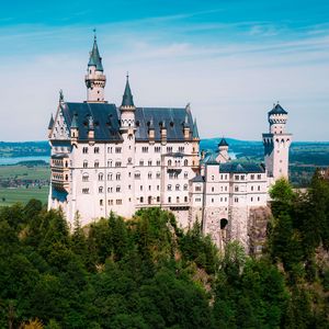 Preview wallpaper neuschwanstein, castle, trees, forest, architecture