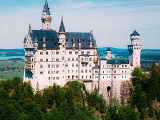 320x240 Wallpaper neuschwanstein, castle, trees, forest, architecture