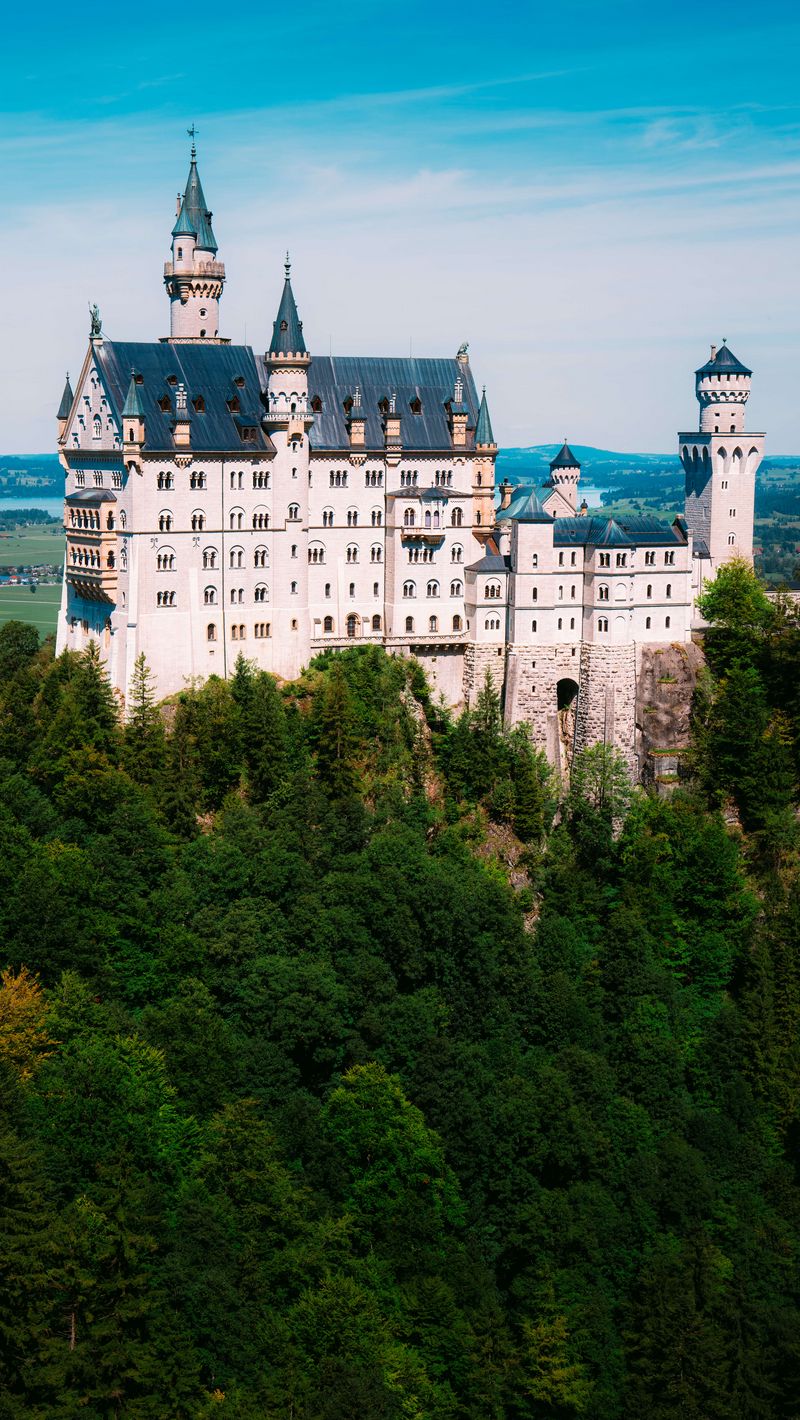 800x1420 Wallpaper neuschwanstein, castle, trees, forest, architecture