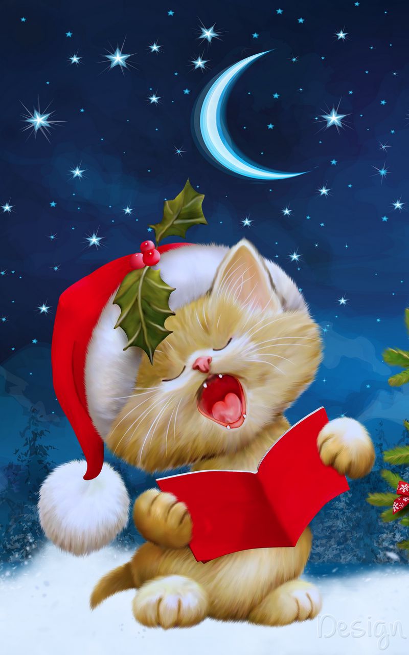 Christmas Cat Images  Browse 1990 Stock Photos Vectors and Video   Adobe Stock