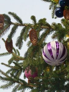 Preview wallpaper new year, christmas, needles, twigs, tree, cones, toys