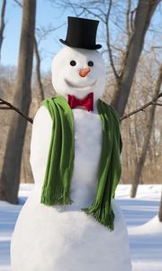 Preview wallpaper new year, christmas, winter, snowman, scarf, trees, snow