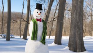 Preview wallpaper new year, christmas, winter, snowman, scarf, trees, snow