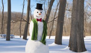 Preview wallpaper new year, christmas, winter, snowman, scarf, trees, snow