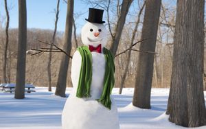Preview wallpaper new year, christmas, winter, snowman, scarf, trees, snow