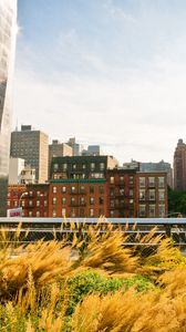Preview wallpaper new york, buildings, streets, grass, sky