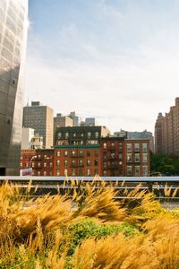 Preview wallpaper new york, buildings, streets, grass, sky